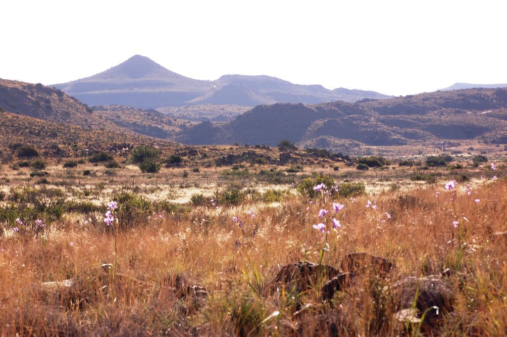 NelspoortThe Vale Karoo Farm别墅 外观 照片
